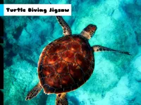 https://onlinegamesfree.xyz/game/turtle-diving-jigsaw