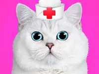 https://onlinegamesfree.xyz/game/cat-pet-doctor-dentist