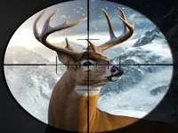 https://onlinegamesfree.xyz/game/hunter-3d