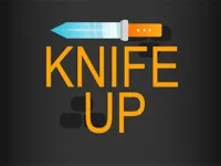 https://onlinegamesfree.xyz/game/fz-knife-up
