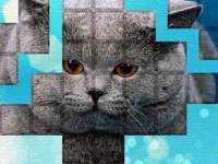 https://onlinegamesfree.xyz/game/picpu-cat-puzzle