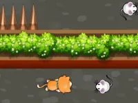 https://onlinegamesfree.xyz/game/cat-trap-labyrinth-escape