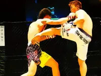 https://onlinegamesfree.xyz/game/ufc-fighting-match-jigsaw