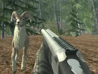 https://onlinegamesfree.xyz/game/crazy-goat-hunter