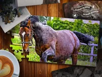 https://onlinegamesfree.xyz/game/jigsaw-puzzle-horses-edition