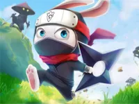 https://onlinegamesfree.xyz/game/ninja-rabbit