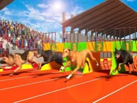 https://onlinegamesfree.xyz/game/dog-run-3d