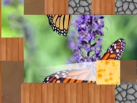 https://onlinegamesfree.xyz/game/wash-if-off