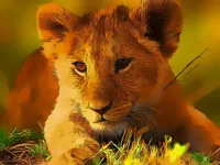 https://onlinegamesfree.xyz/game/wild-baby-animals-jigsaw