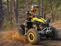 https://onlinegamesfree.xyz/game/atv-offroad-puzzle