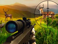 https://onlinegamesfree.xyz/game/wild-hunter-sniper-buck